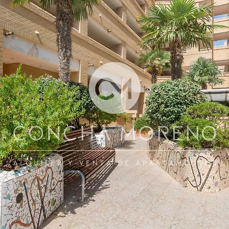 Valparaiso-cm أوروبيسا ذيل مار